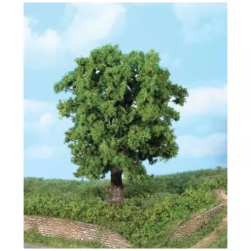 Kastanienbaum, 18 cm hoch