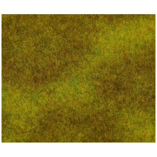 PREMIUM landscape segment, Prairie, dark green