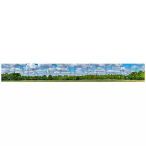 Hintergrund: Wald unter blauem Himmel