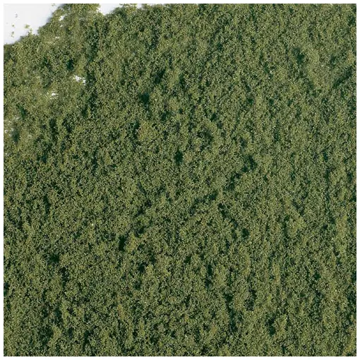 Herbe de terrain PREMIUM, herbe d’été, très fine, vert, 290 ml