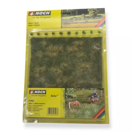Fibre + 10 touffes d'herbes - Prairie d'été - Vert / marron - NOCH 07403 - Échelle universelle - 220 x 200 mm