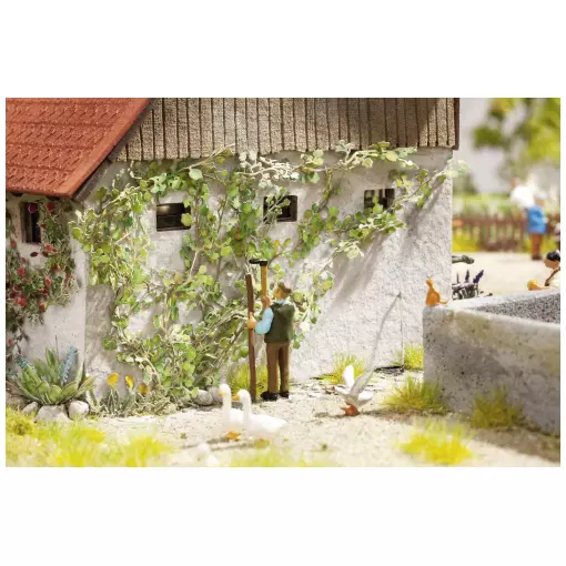 Une vigne sauvage / 12 plants NOCH 14132 - HO 1/87 -