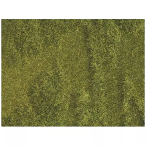 Lot de 2 Tapis "prairie luxuriante" NATUR+ NOCH 07470 - HO 1/87 - 250 x 250 mm