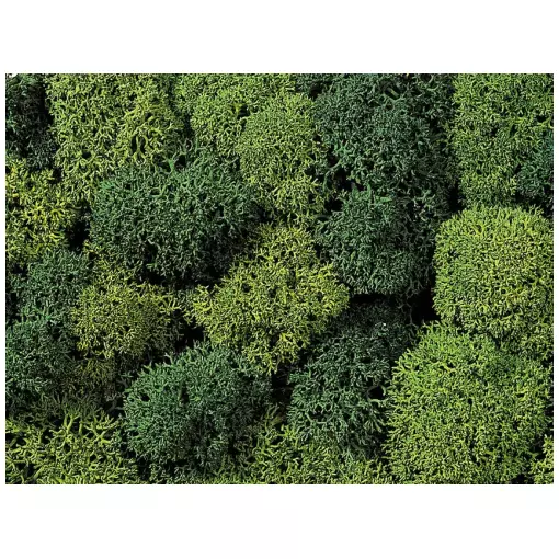 Mousse lichen vert clair et verte - Noch 08610 - Toutes échelles - 35 g