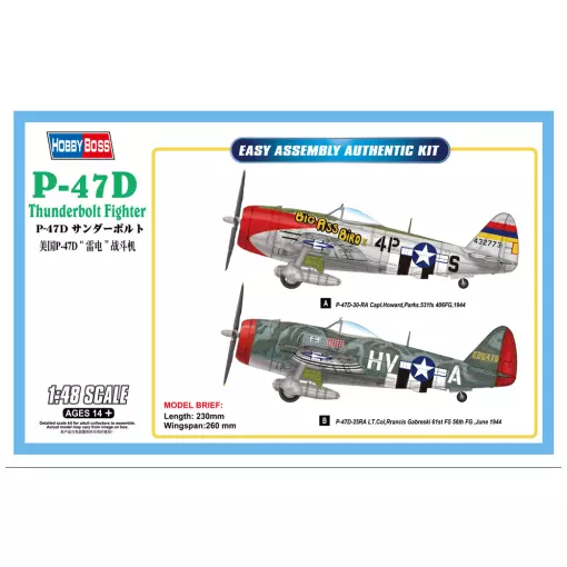 Thunderbolt Fighter P-47D - Hobby Boss 85804 - 1/48