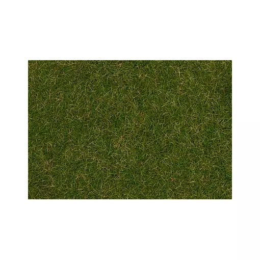 Vlokvezels wild gras, zomerweide, 4 mm, 80g FALLER 170232