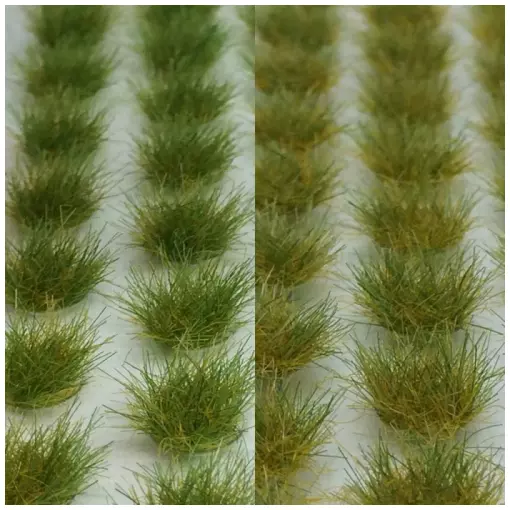 Plukjes gras in de lente / 105 stuks