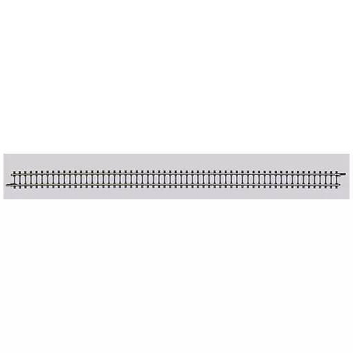220 mm recht spoorelement met betonnen dwarsliggers