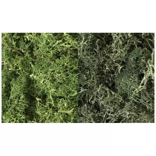 Lichen mix vert/vert foncé - Woodland Scenics L168 - 2L