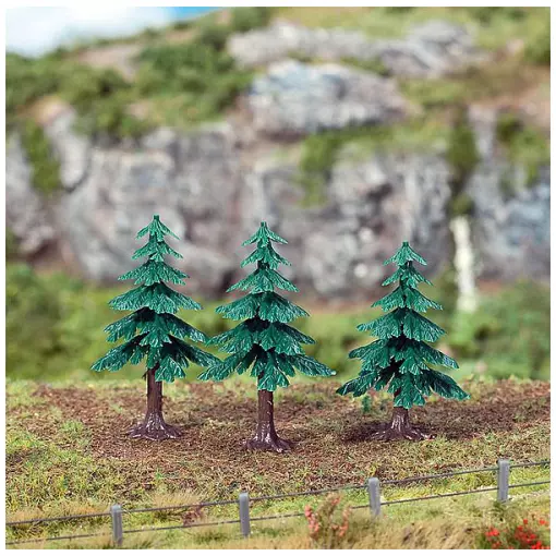 3 Small fir trees