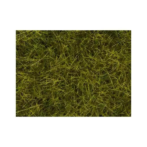 Wild grass flocking XL Noch 07095 - HO 1/87 - 12 mm
