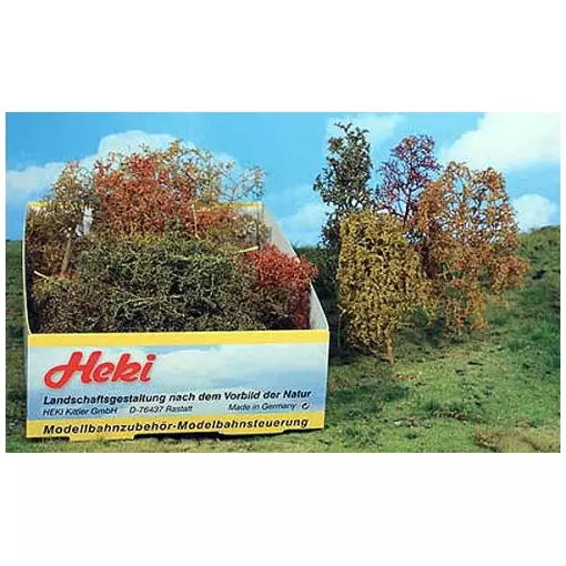 Miscela di 15 alberi e arbusti verdi