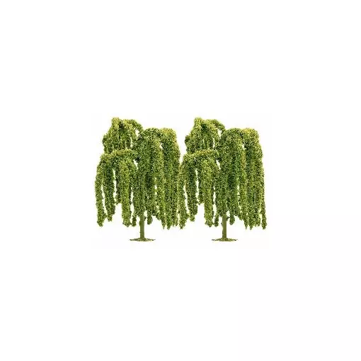 2 weeping willows, 12 cm