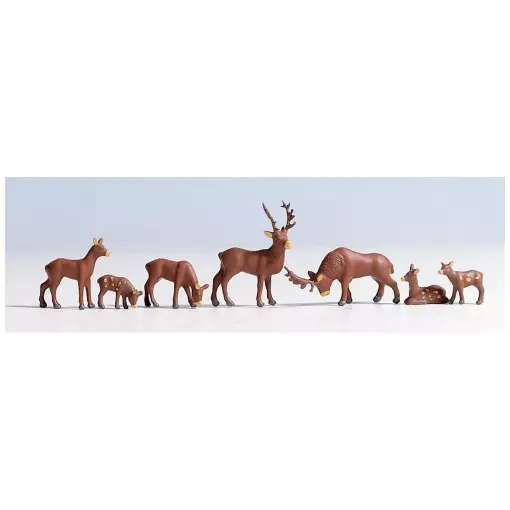 Cerfs, 7 animaux