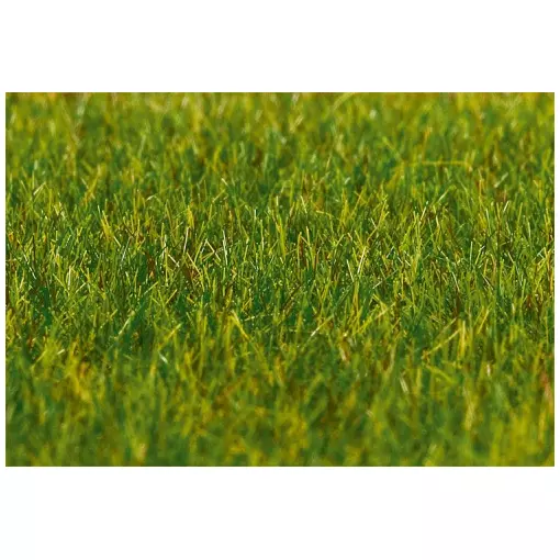 PREMIUM Flockfasern, Gras, lang, dunkelgrün, 30 g