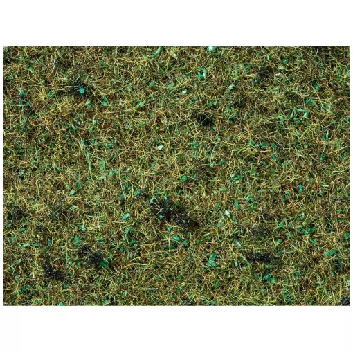 Fibres herbes vert forêt - Noch 08350 - Toutes échelles - 2,5 mm - 20 g