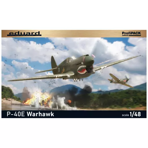 Avion P-40E Warhawk ProfiPack Edition - Eduard Plastic Kits 82241 - 1/48