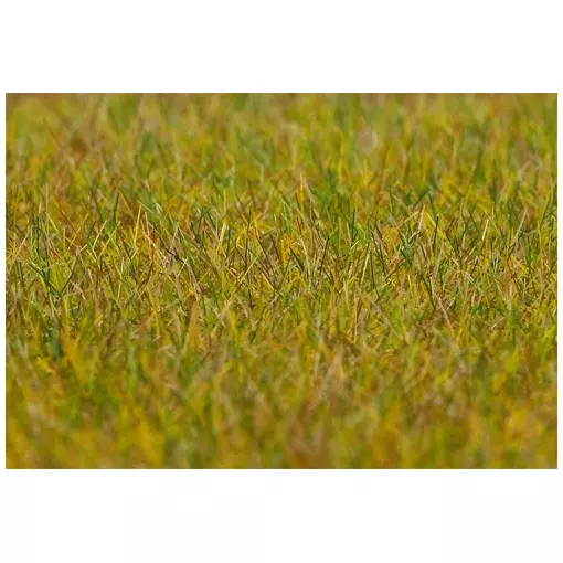 Fibra di fiocco PREMIUM, Prairie, lunga, verde chiaro, 30 g