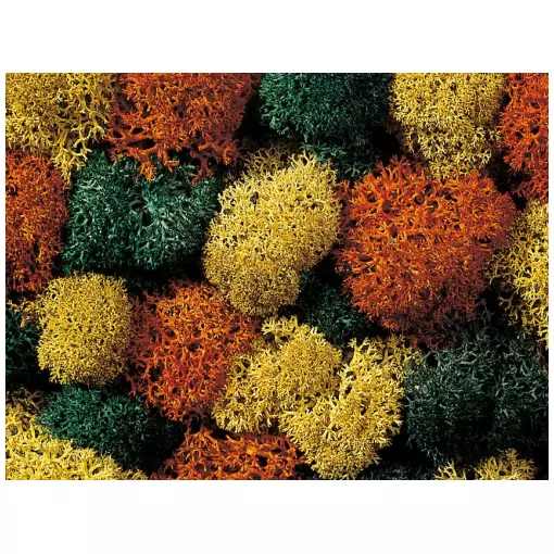 Mousse lichen couleurs d'automne - Noch 08630 - Toutes échelles - 35 g