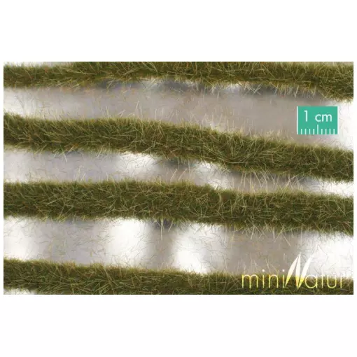Dos tiras de hierba de colores - Principios de otoño - aprox. 50 cm