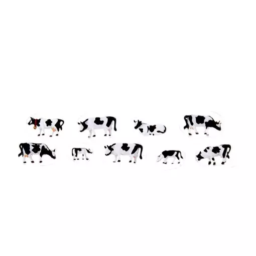 9 black and white cows