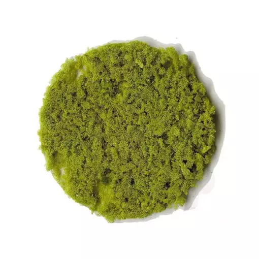 Flocage - Flocons de feuillage - Vert clair - HEKI 3388 - Échelle Universelle