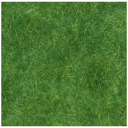 Flocage herbes sauvages - Busch 7370 - Vert foncé - 15g