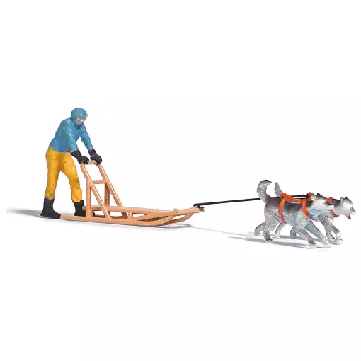 Sled dogs