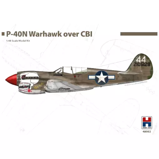 Avion de combat - Le Curtiss P-40 Warhawk - Hobby 2000 48002 - 1/48