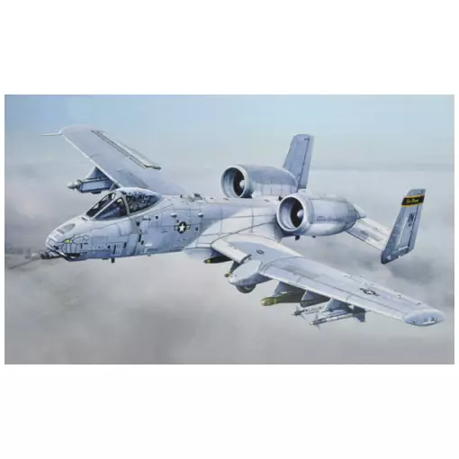 Avion A-10C "Blacksnakes" - ITALERI I2725 - 1/48