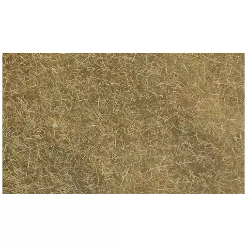 Beige grass fibres - Noch 07101 - All scales - 6 mm - 50 g
