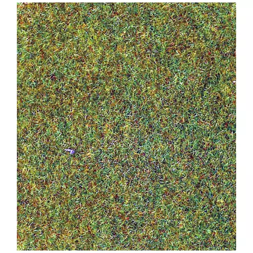 Light green carpet 100x200 cm