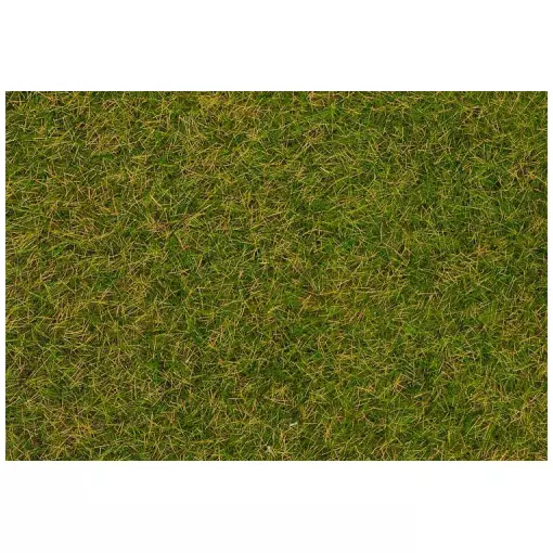 Fibras de rebaño hierba silvestre, prado de principios de verano, 4 mm, 80 g FALLER 170231
