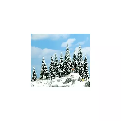 20 snow-covered fir trees, 6-13.5 cm