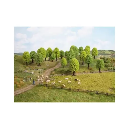 Bolsa de 25 árboles de hoja caduca de 5 a 9 cm
