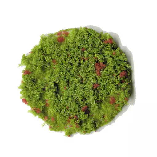 Flocage - Flocons de feuillage - Vert clair / Rouge - HEKI 3390 - Échelle Universelle