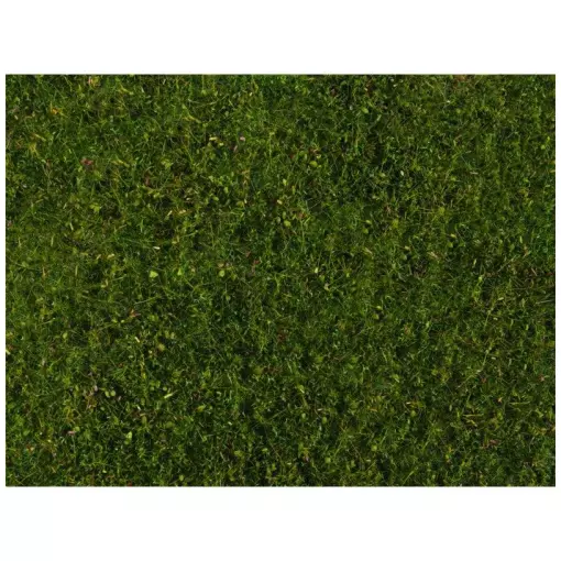 Tapis d'herbe de prairie vert moyen 200x230 mm NOCH 07291 - Toutes échelles