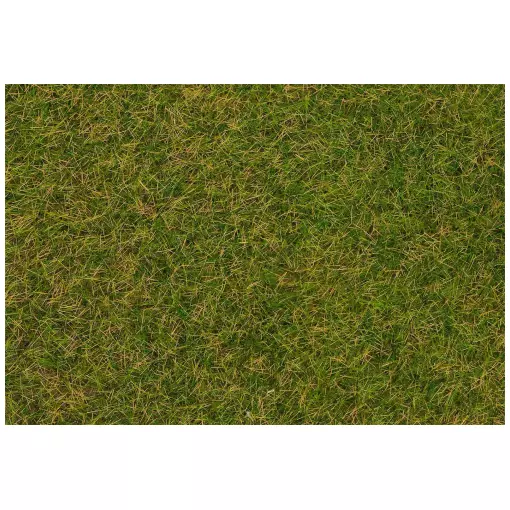 Fibre di floccaggio di erba selvatica, prato di inizio estate, 4 mm, 1Kg FALLER 170256