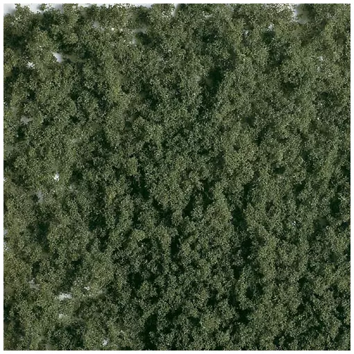 Herbe de terrain PREMIUM, herbe d’été, fine, vert foncée, 290 ml