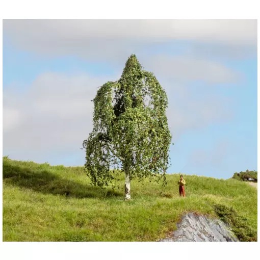 Arbre Bouleau argenté - NOCH 20121