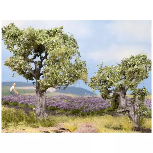 Pack 2 Oliviers - NOCH 21995 - HO | TT - Arbres pour Diorama