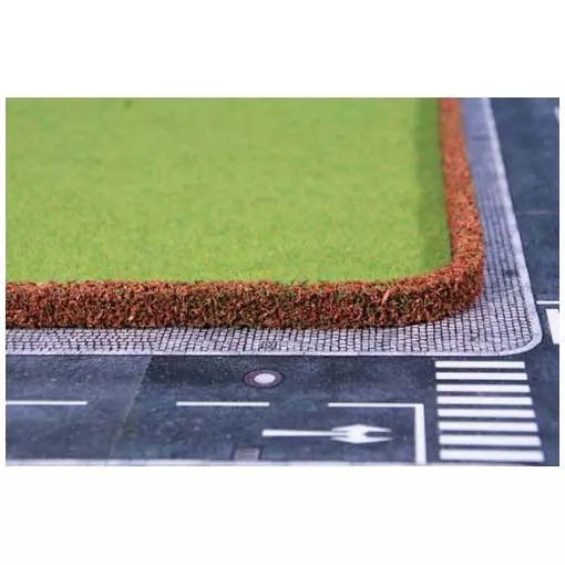 50 cm x 12 x 7 mm red hedge