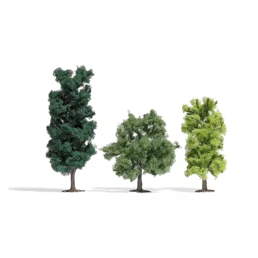 Batch of 3 deciduous trees
