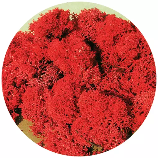 Rood schuim 30 gram