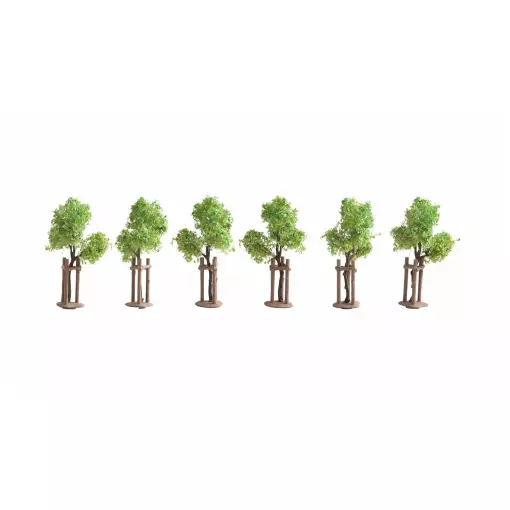 Lot von 6 jungen Bäumen mit ihren Stützen - NOCH 21538 - HO 1/87