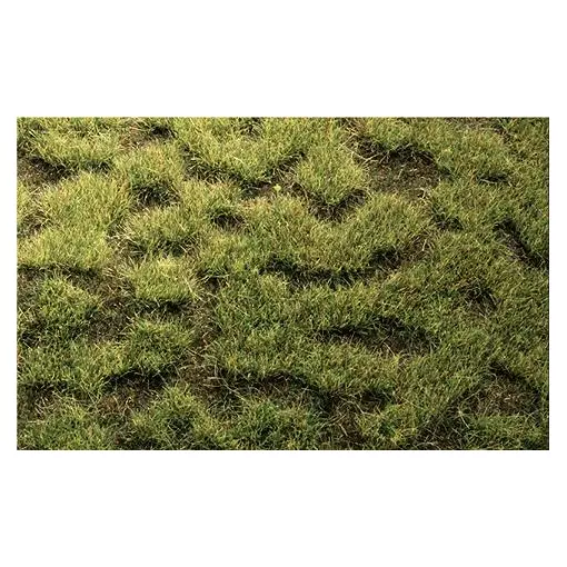 Flocage - Herbes sauvages - Sol marécageux - Vert foncé - HEKI 1843 - Échelle HO / TT - 450x170 mm