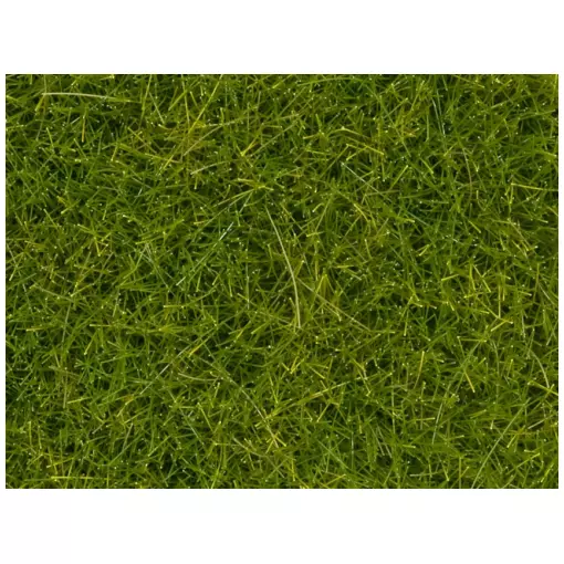 Herbes sauvages XL vert clair - Noch 07112 - Toutes échelles - 12 mm