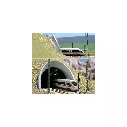 TGV-Portal