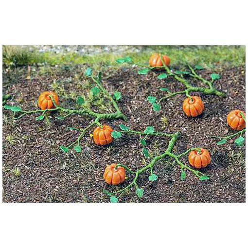 Miniature pumpkin plants - HO 1/87