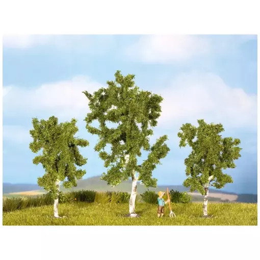 Pack 3 Birch Trees - NOCH 25520 - Z | N - Diorama